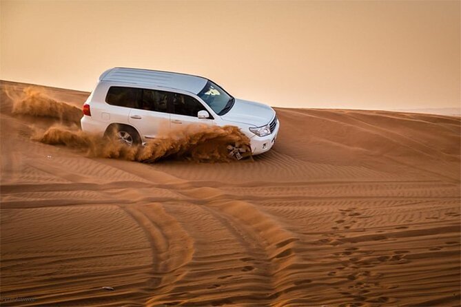 Dubai Desert Safari with Self Drive Quad Biking & Camel Riding - Price and Value: Is $89 Worth It?
