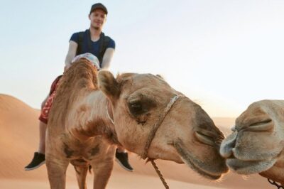 Dubai Desert Trail: Guided Quad/Polaris ATV & Red Dunes Safari - Quad Bike vs Polaris RZR: Picking the Right Vehicle Option