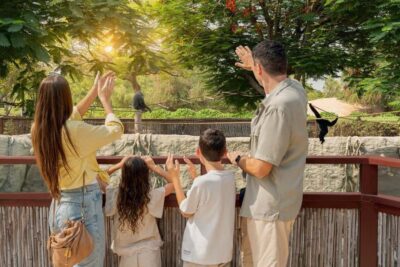 Dubai: Dubai Safari Park Entry Pass - The themed villages: African Savannah, Arabian Desert, Asian Village