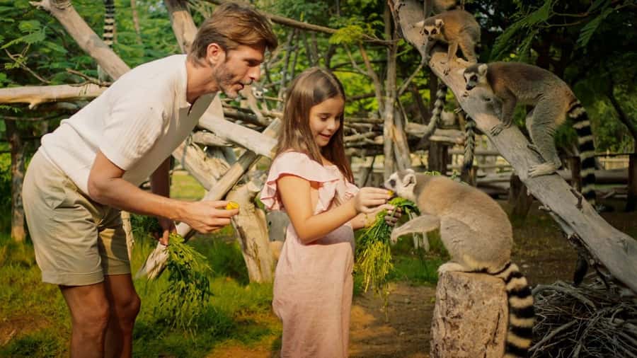 Dubai: Dubai Safari Park Entry Pass - Feeding sessions and live presentations: what’s included vs paid