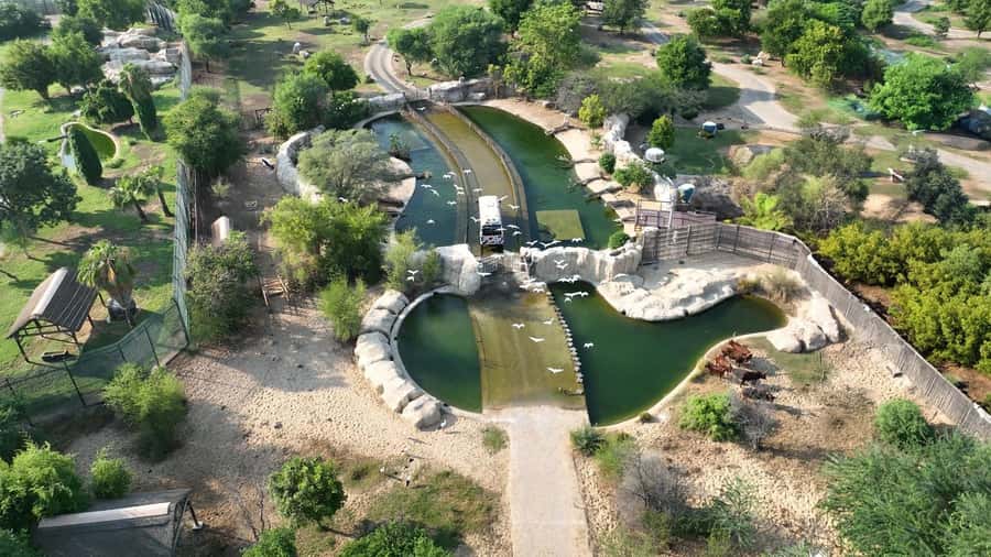 Dubai: Dubai Safari Park Entry Pass - Getting around: walking vs train rides vs the Explorer bus