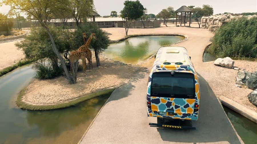 Dubai: Dubai Safari Park Entry Pass - Rules and restrictions that affect your day (bring less, enjoy more)