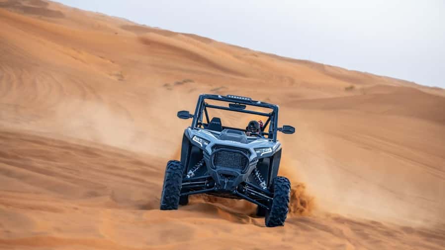 Dubai: Dune Buggy Safari and Camel Ride with Transportation - Key Points You’ll Care About Most