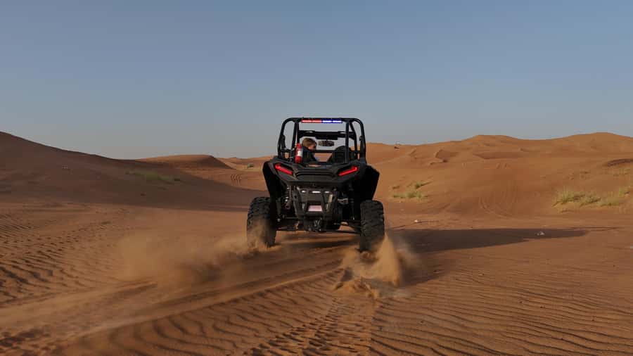 Dubai: Dune Buggy Safari and Camel Ride with Transportation - John the Desert Camel: Feed, Cuddle, and a Short Ride