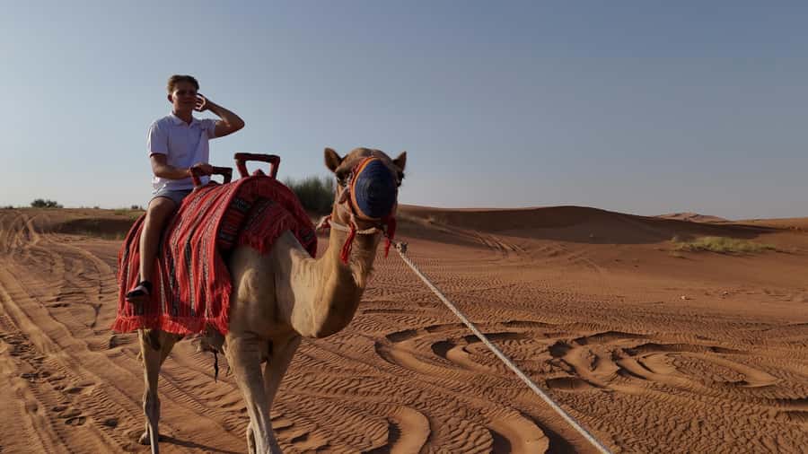 Dubai: Dune Buggy Safari and Camel Ride with Transportation - Value Check: Is $245 for Two a Smart Deal?