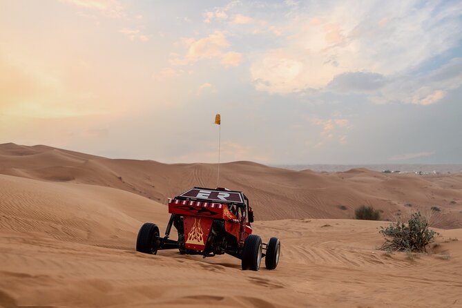 Dubai Dune Buggy Safari Tour in Red Dunes Options - Who This Tour Fits Best
