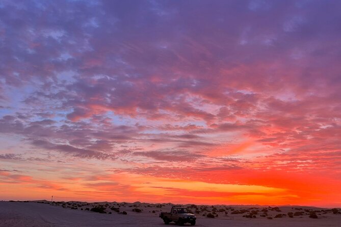 Dubai Evening Desert Safari - Pickup, group size, and what the $100 actually buys you