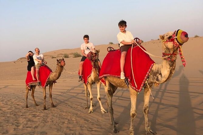 Dubai Evening Desert Safari - Who should book this desert safari (and who should think twice)