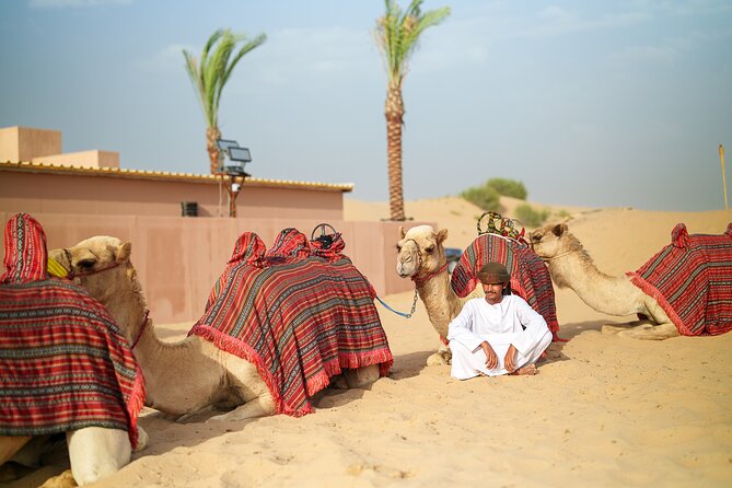 Dubai Evening Desert Safari BBQ Dinner & Transfer to Noble Camp - Transport, timing, and group size: the small details that make it easier