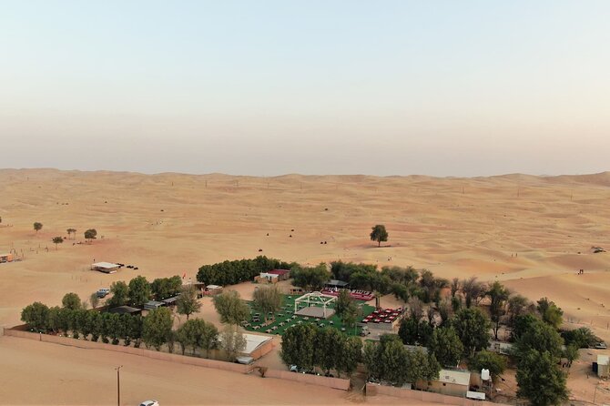 Dubai: Evening Desert Safari, Camel Ride, Shows & BBQ Dinner - What This Safari Is Actually Like: Desert Adrenaline + Dinner Show