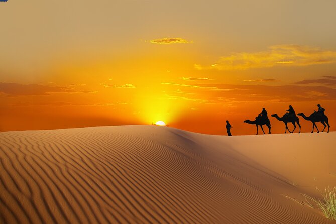 Dubai Evening Desert Safari with BBQ Dinner - Dubai Desert Safari at Dusk: What This Evening Gets Right