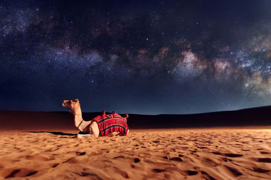 Dubai: Evening Desert Safari with Camel Ride & Stargazing - Price and Value: What You Get for Around $49