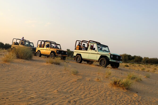 Dubai Evening Heritage Safari by Vintage G Class Al Marmoom Oasis - The Bedouin Village Welcome: Gahwa, Sweets, and the Camel Caravan
