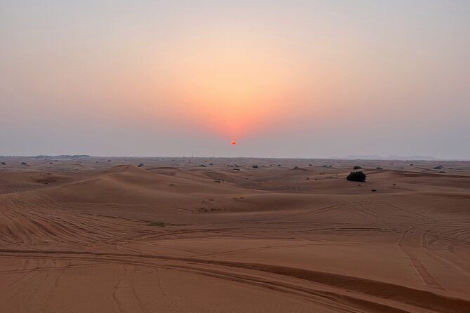 Dubai Evening Red Dune Safari With 30 Mins ATV, BBQ, Live Shows - Live entertainment: belly dance, Tanura, and a fire show