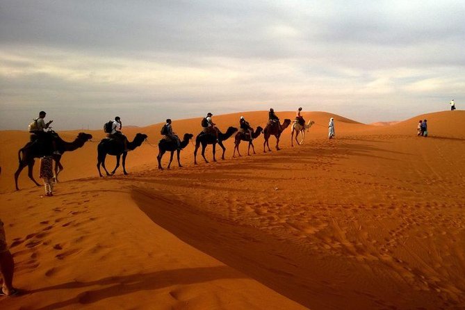 Dubai Evening4x4Desert Safari,BBQ Dinner,4 LiveShows,Camelride - Sandboarding and Activities: Fun Extras, Check-In Timing