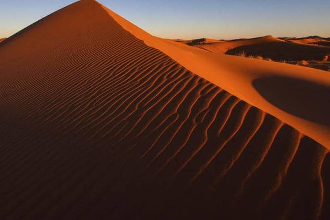 Dubai Evening4x4Desert Safari,BBQ Dinner,4 LiveShows,Camelride - Price and Logistics: Pickup, Group Size, and Travel Time