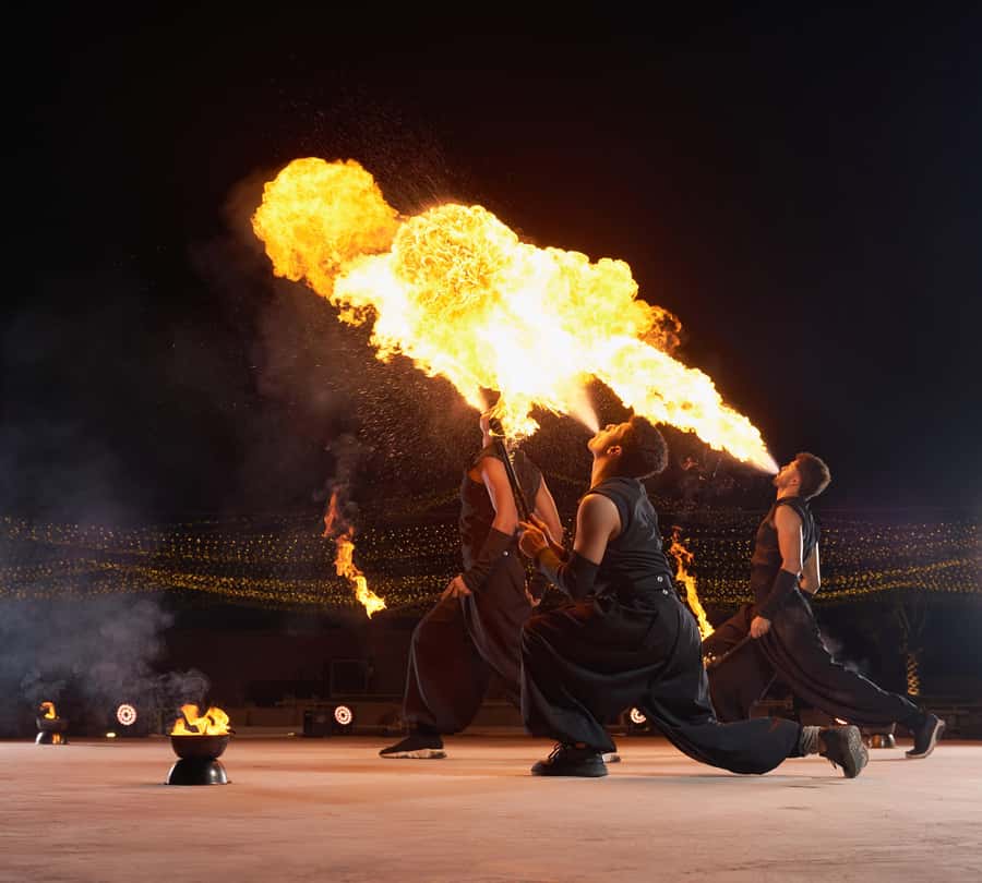 Dubai: Exclusive VIP Desert Safari Dinner with Live Show - Noble Camp Souq: camel feeding, henna, and the falcon moment