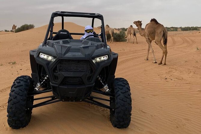 Dubai: Extreme Red Dune Buggy Desert Safari Adventure - Guides, safety, and that small-group attention