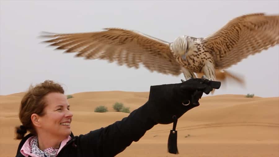 Dubai Falconry Safari - Dubai Desert Conservation Reserve: houvara bustard, oryx, and sand gazelle