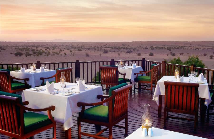 Dubai Falconry Safari - Photography, videos, and the comfort factor of a small group