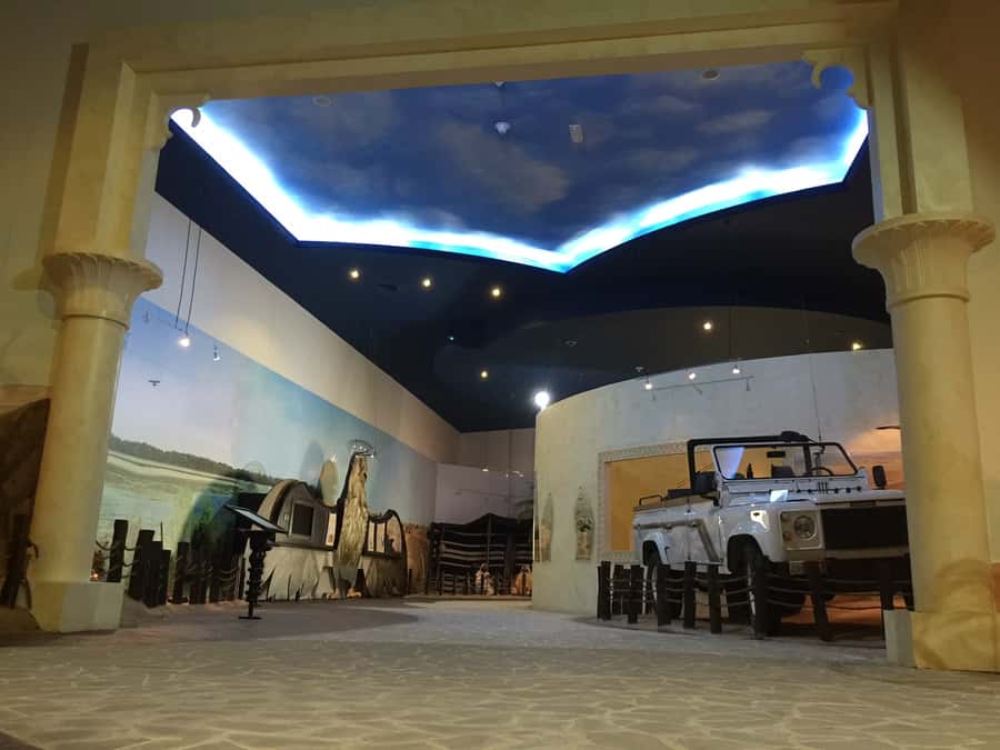 Dubai Falconry Safari - Dubai Falcon Souq and Falcon Museum: the culture behind the birds