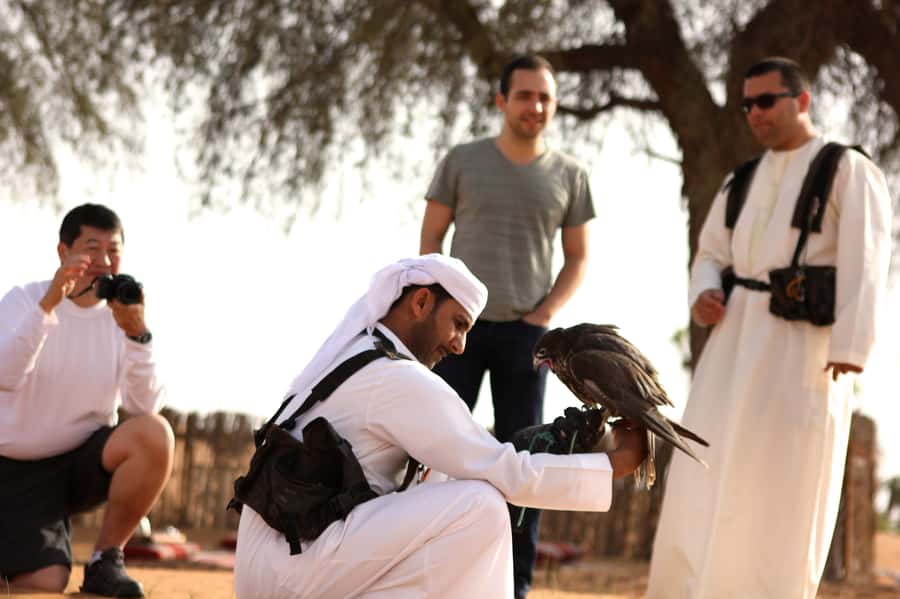 Dubai Falconry Safari - The 5-hour flow: hotel pickup, dawn desert drive, and the ghaf tree camp