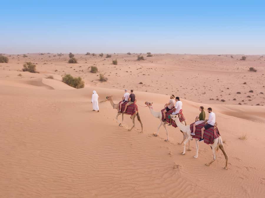 Dubai: Heritage Camel Desert Safari with Traditional Dinner - Key Points at a Glance