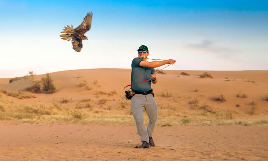 Dubai: Heritage Desert Safari wtih Overnight and Breakfast - Falconry at Sunset: One Show, Several Cultural Notes