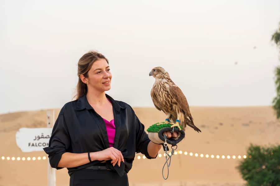 Dubai: Heritage Safari, Camel Ride & Al Marmoom Oasis Dinner - Arriving at Al Marmoom: from city comfort to conservation desert
