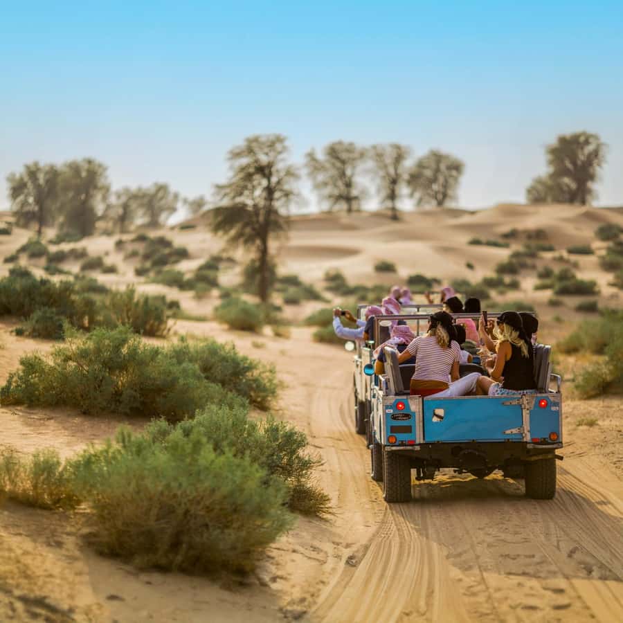 Dubai: Heritage Safari in Vintage Land Rover with Dinner - The Reserve Walk: Wildlife, Plants, and Real Explanations
