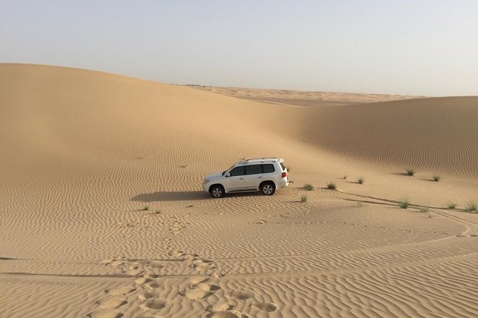 Dubai Kids Friendly Morning Safari - Private Car - How your kids will experience the desert (and how to prepare)