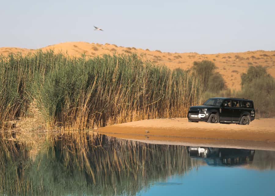 Dubai: Luxury Safari with Michelin-Curated 5-Course Dinner - Inside the Land Rover Defender: The Feel of the Drive