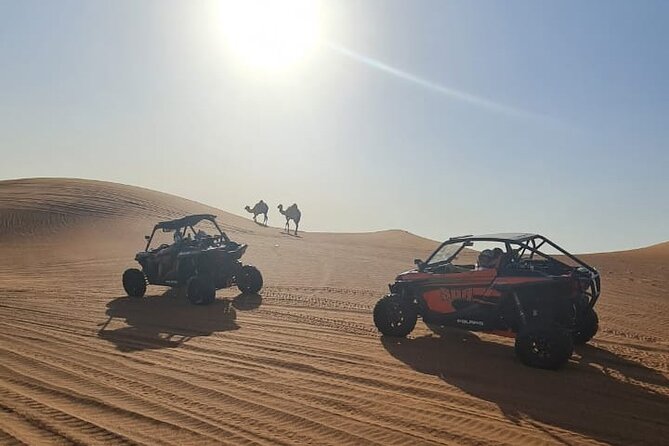 Dubai Morning Buggy Dunes Safari with Sandboarding & Camel Ride - Sandboarding and camel ride: your desert breaks between thrills