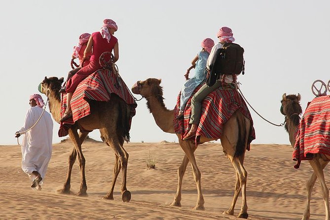 Dubai: Morning Desert Safari - Camel Ride With Bedouin Guides: Great, But Seasonal