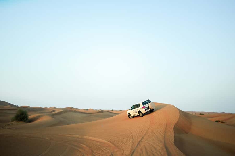 Dubai: Morning Desert Safari - Should You Book the Dubai Morning Desert Safari?