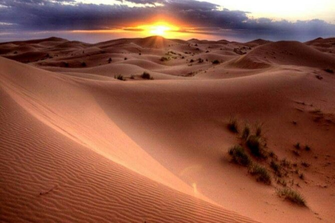 Dubai Morning Desert Safari: Camel Ride & Sandboarding! - Sandboarding: The Straight-Line Fun You’ll Want Again