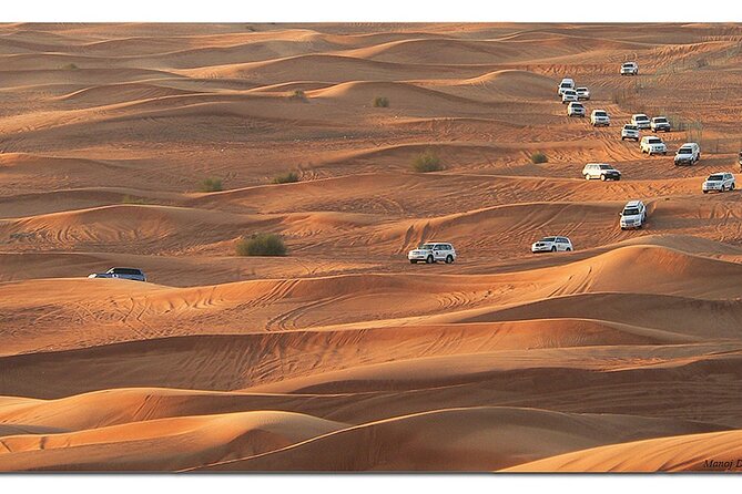 Dubai Morning Desert Safari: Camel Ride & Sandboarding! - Price and Value: Why $39 Can Make Sense