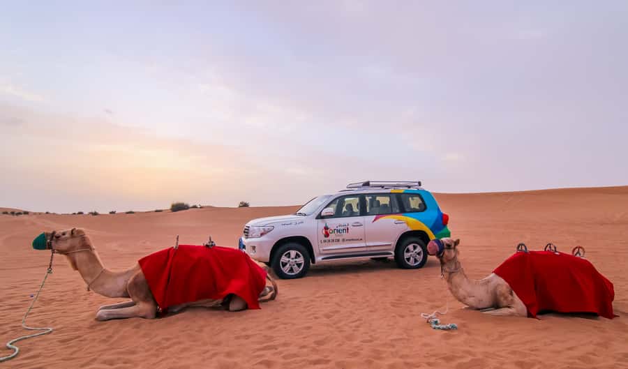 Dubai: Morning Desert Safari with Camel Ride & Sandboarding - Sandboarding in 15 minutes: try it, don’t overthink it