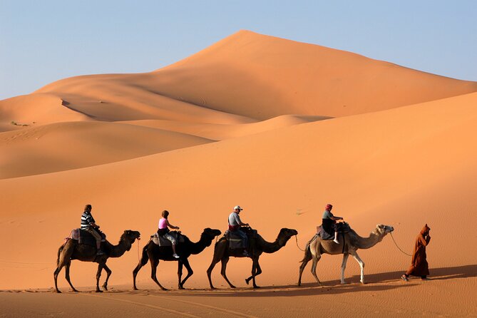 Dubai Morning Desert Safari with Quad Bike sharing Car - Key Highlights You’ll Care About