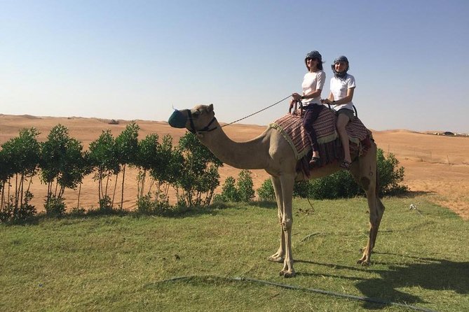 Dubai Morning Desert Safari with Sandboarding & Camel Ride - Camel Farm Stop: A Quick Cultural Moment (With a Ride Option)
