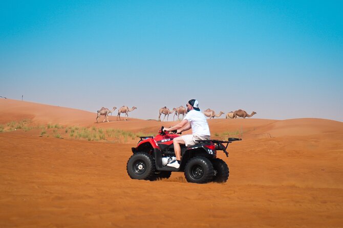 Dubai Morning Evening Desert Safari,Sand boarding and Camel ride - Lehbab Red Dunes: Dune Bashing, Sandboarding, Camel Ride