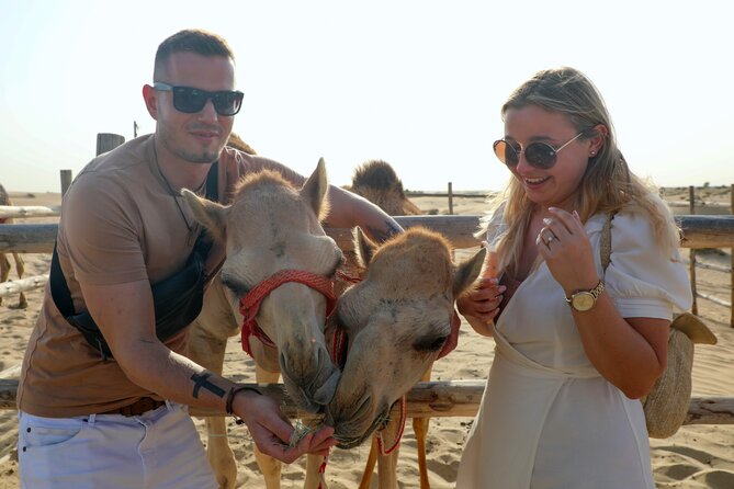 Dubai: Morning Heritage Safari by Vintage G Class & Al Marmoom Oasis - Marmoom Desert Conservation Reserve: Why a morning run really works