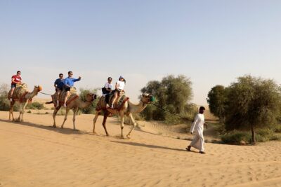 Dubai: Morning Heritage Safari by Vintage G Class & Al Marmoom Oasis - From Dubai to Al Marmoom in a vintage 1980s G-Class