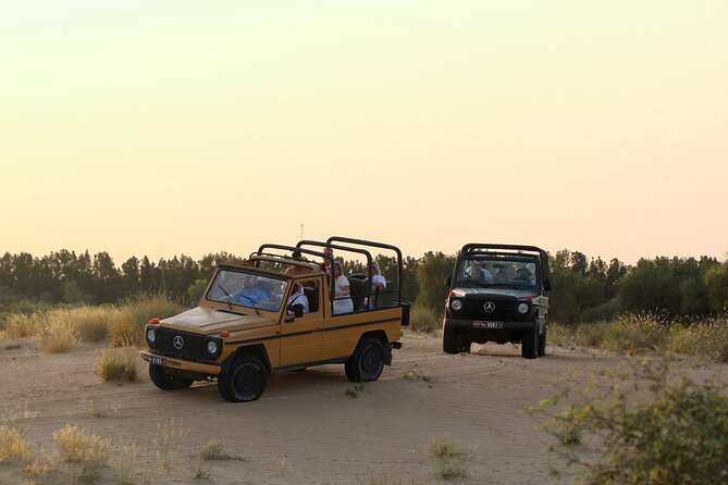 Dubai: Morning Safari by Vintage G Class & Al Marmoom Experience - Vintage G-Class 4WD: What You’re Actually Signing Up For
