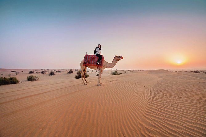 Dubai Morning Safari: Quad Biking, Sandboarding & Camel Ride! - A 4.5-hour morning safari that fits real life