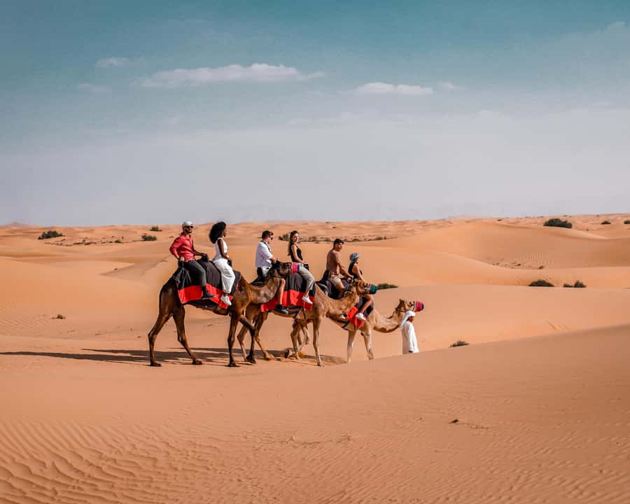 Dubai: Premium Desert Safari, Camel Ride, BBQ & Sandboarding - Price and value: is $130 per person actually fair?