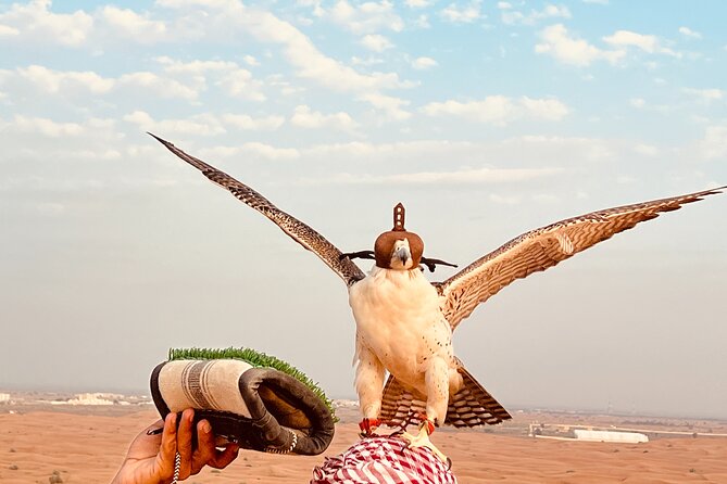 Dubai Premium Desert Safari Red Duns Camel sandbord & Premium BBQ - Dune bashing: the hour-long thrill that makes the day feel worth it