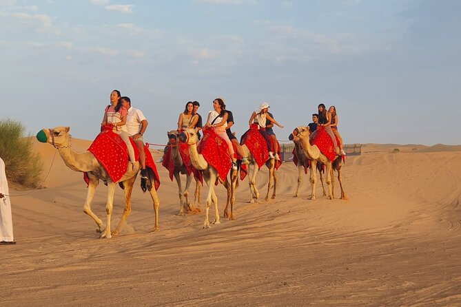 Dubai Premium Red Dunes Safari Camel Ride and BBQ Dinner - BBQ Buffet Dinner and Live Show Lineup: What You’ll Eat and Watch