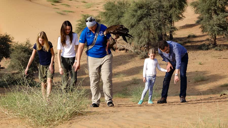 Dubai: Private Falconry Safari - Dubai Desert Conservation Reserve: The Ride That Sets the Tone
