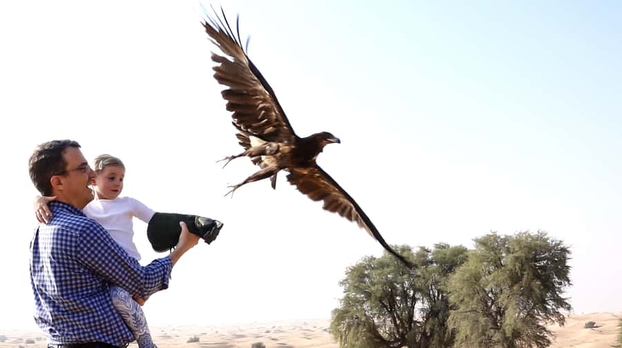 Dubai: Private Falconry Safari - Raptors Up Close: Eagle, Owl, Hawk, and the Different Personalities